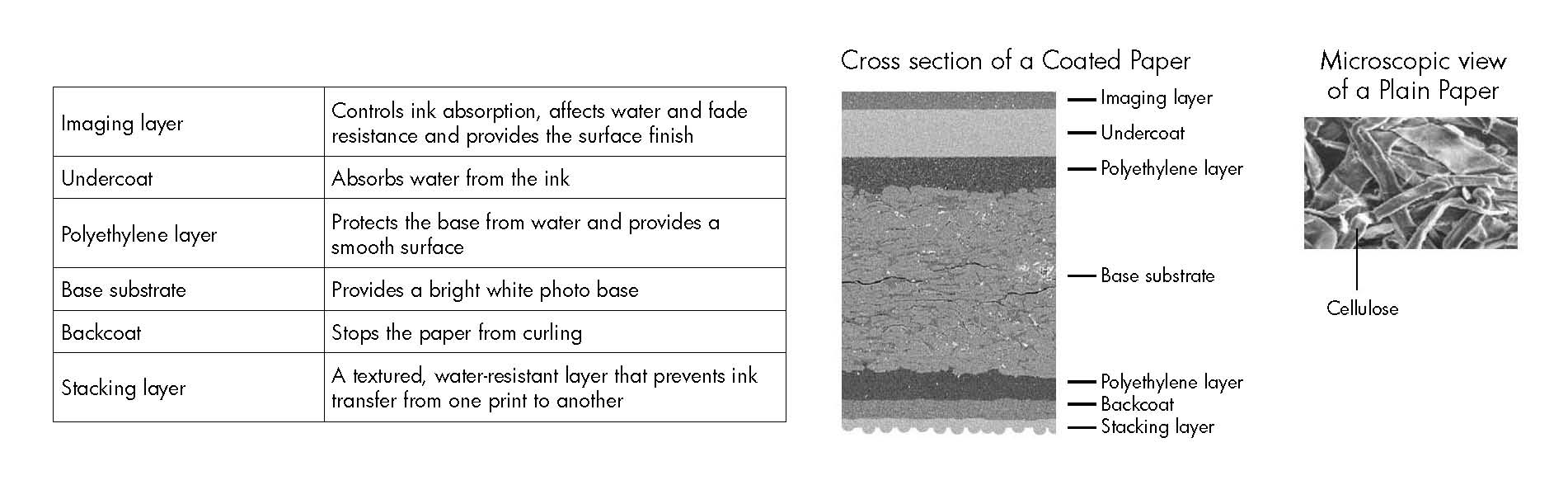 Driver For Hp K010a loadingfruit